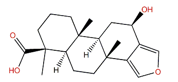 Ceylonin I